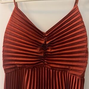 Nordstrom Rust Pleated Dress petal and pup